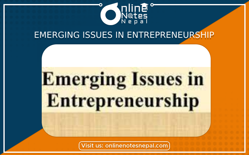 Emerging Issues in Entrepreneurship